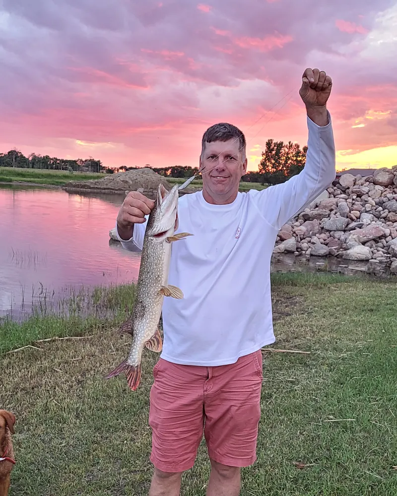 Angler holding a northern pike at the farm pond at sunset