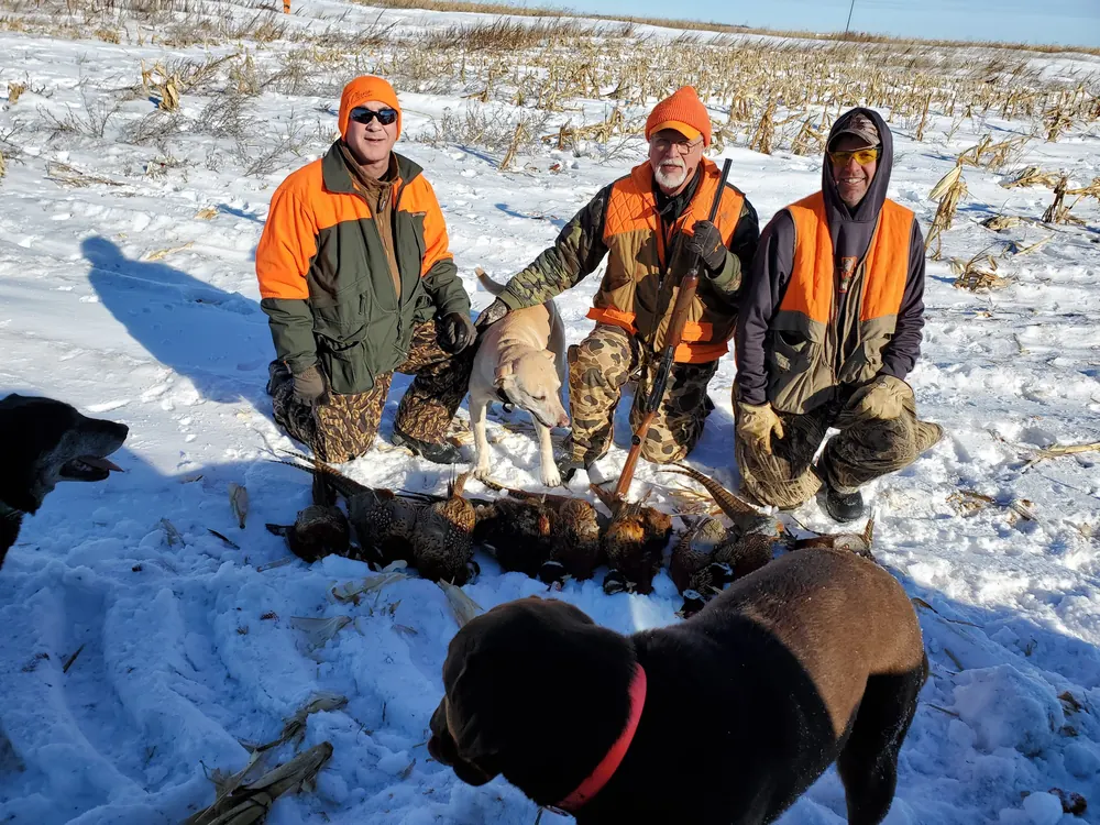 Three pheasant hunters and their labs with a limit of roosters in the snow